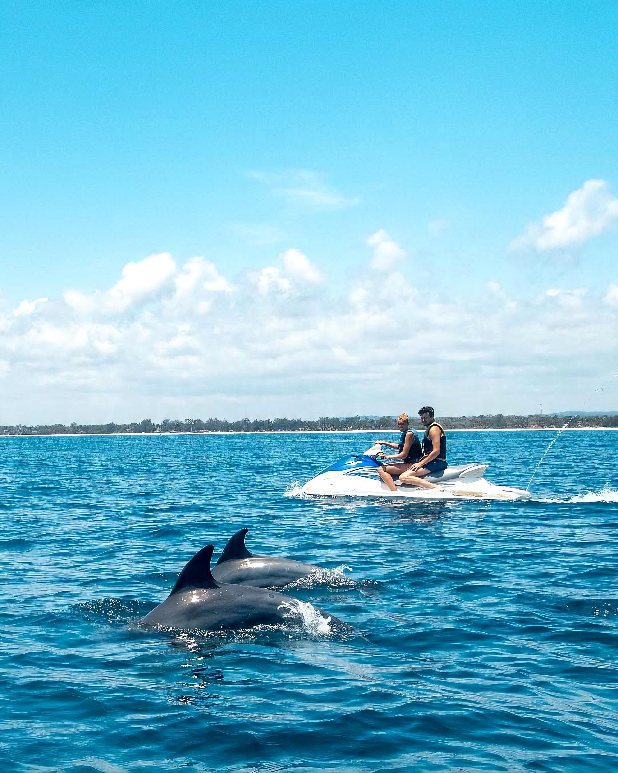 Jet Ski with Dolphins Experience - Diani