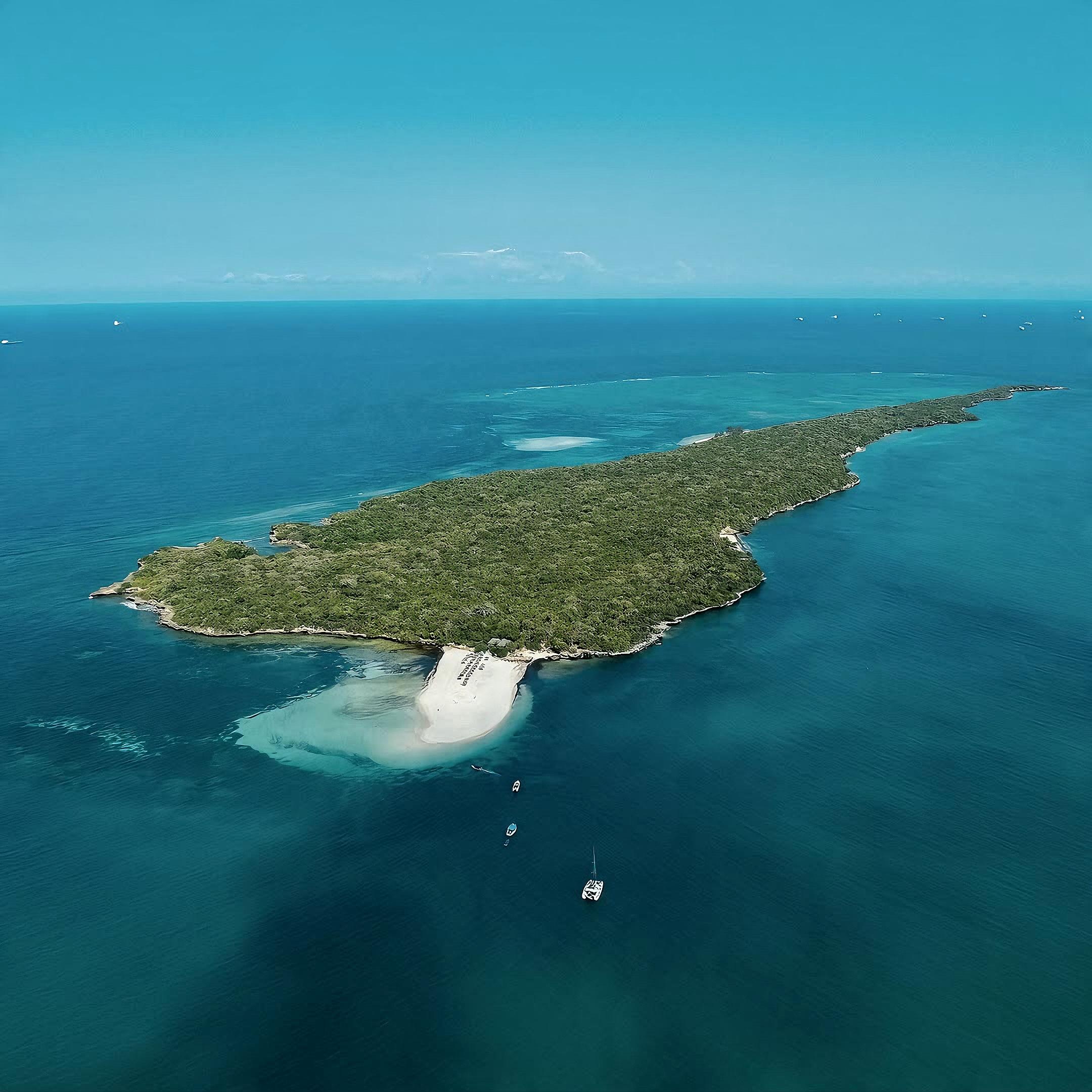 Jet Ski with Dolphins Experience - Diani